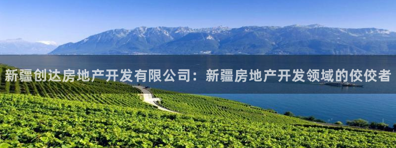 万向娱乐的494o3 主管