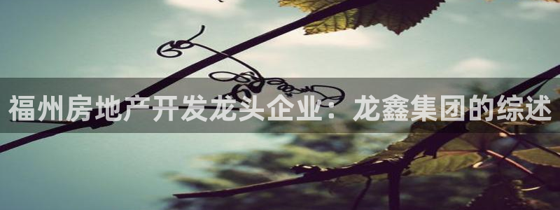 万向娱乐平台代理怎么做