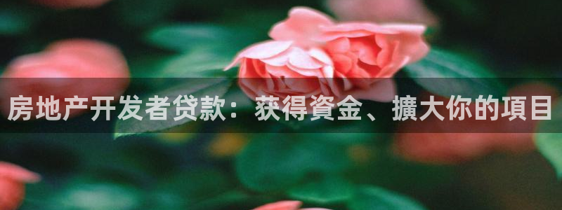万向娱乐平台代理多少钱一年