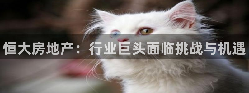 万向娱乐平台下载安装手机版