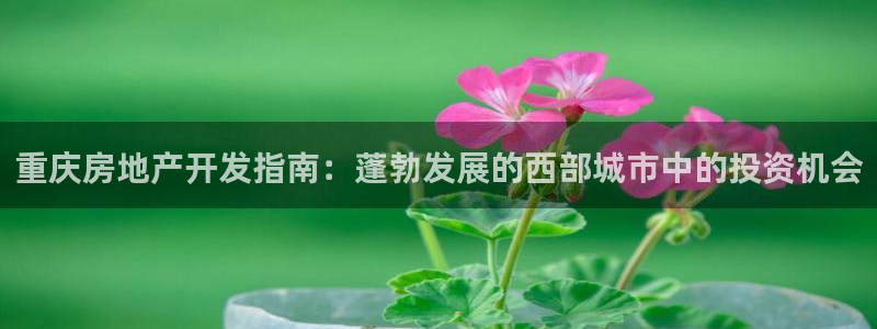 万向娱乐公司 585.34I 娱乐