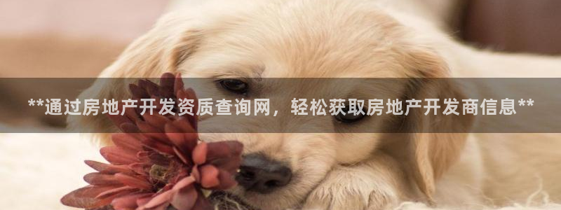 万向娱乐平台代理怎么样可靠吗
