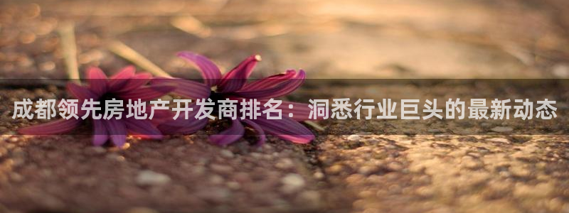 万向娱乐平台代理多少钱