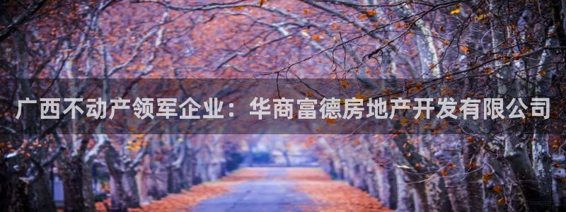 万向娱乐挂机