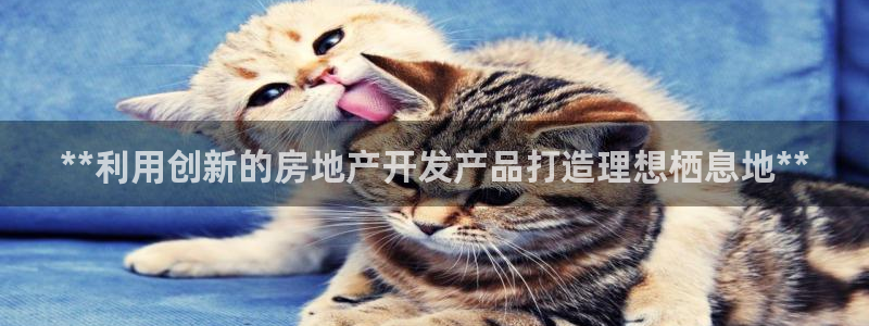 万向娱乐登陆官网入口