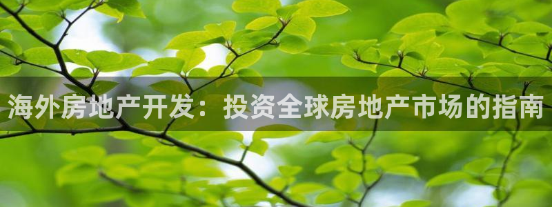 万向娱乐官网下载安装