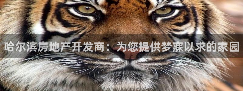 万能娱乐平台直招代理