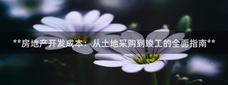 万向娱乐平台代理多少钱一个