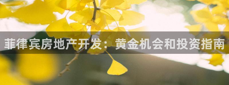 万向娱乐怎么样