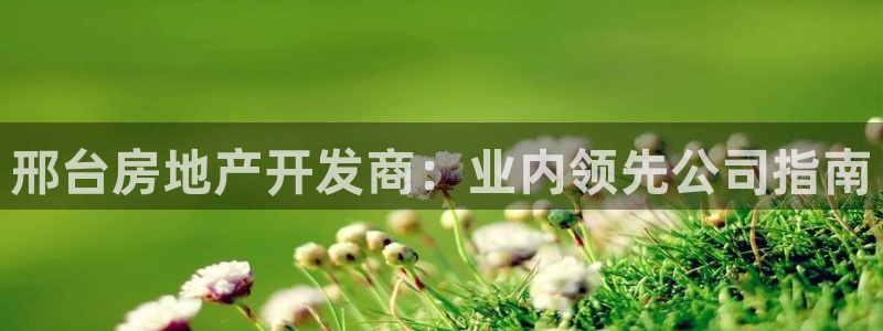 万向娱乐挂机