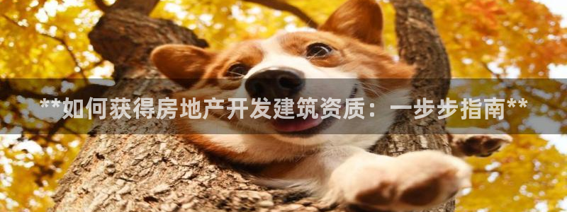 万向娱乐的联系方式是什么