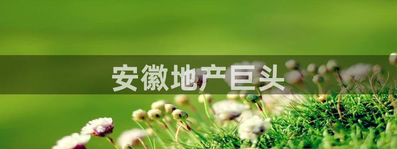 万向娱乐是野鸡台吗