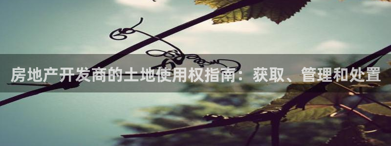 万向娱乐技术