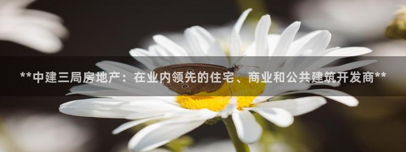 万向娱乐平台代理怎么做的