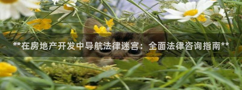 万向娱乐的联系方式有哪些