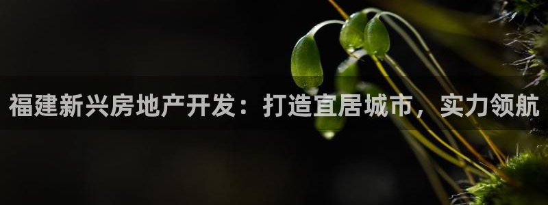 万象国际娱乐网址