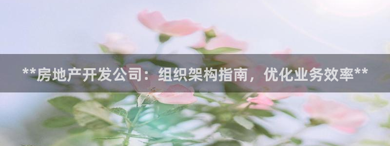 万向娱乐平台代理多少钱一个月