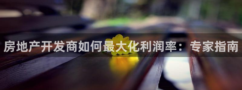 万向娱乐