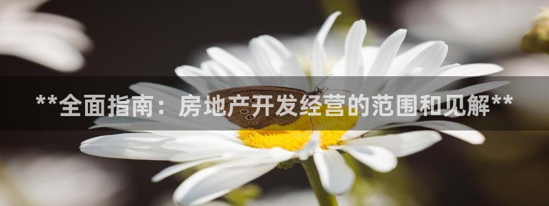 万向娱乐技术