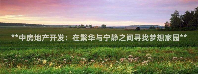 万向娱乐王者荣耀