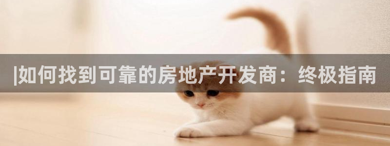 万能娱乐平台直招代理