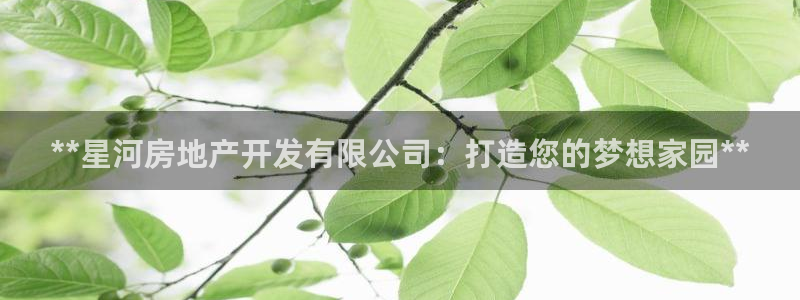 万向娱乐平台代理怎么样啊