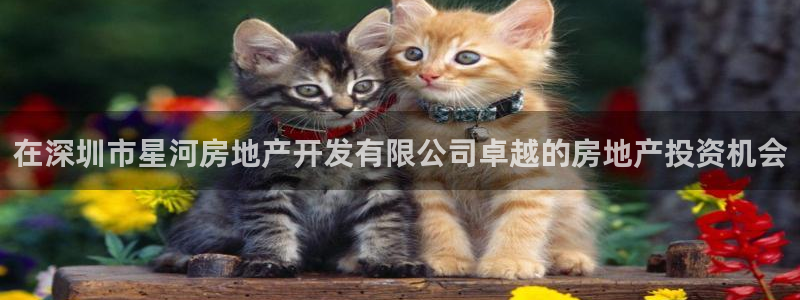 万向娱乐挂机软件