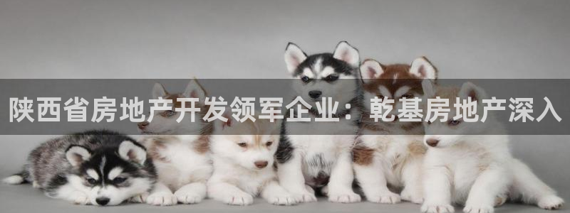 万向娱乐官网网址
