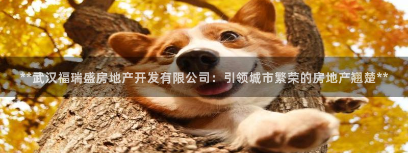 万向娱乐平台代理怎么样赚钱