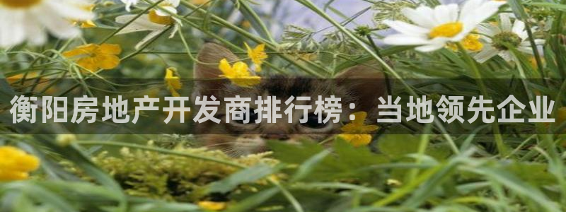 万向娱乐官网网址是多少