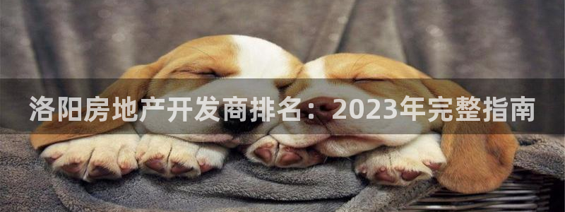 万向娱乐官网网址是什么
