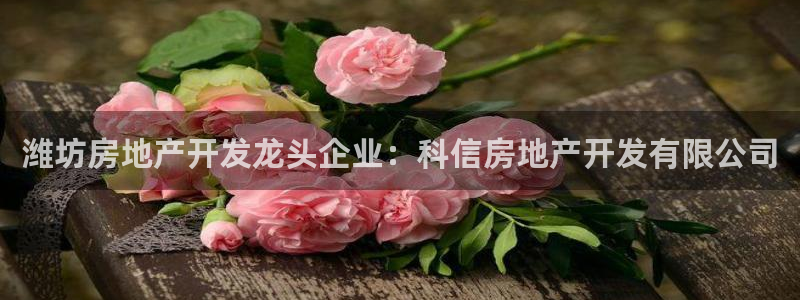 万向娱乐挂机软件