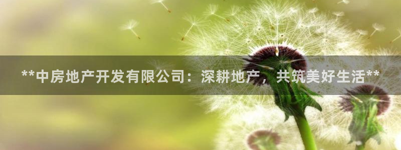 万向娱乐网址是什么