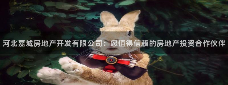 万向娱乐平台代理怎么做的