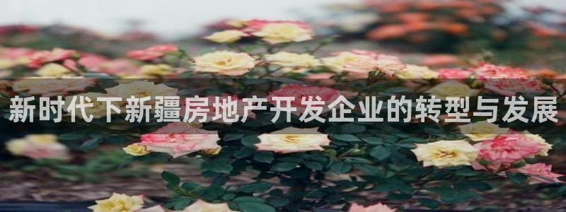 万向娱乐登陆
