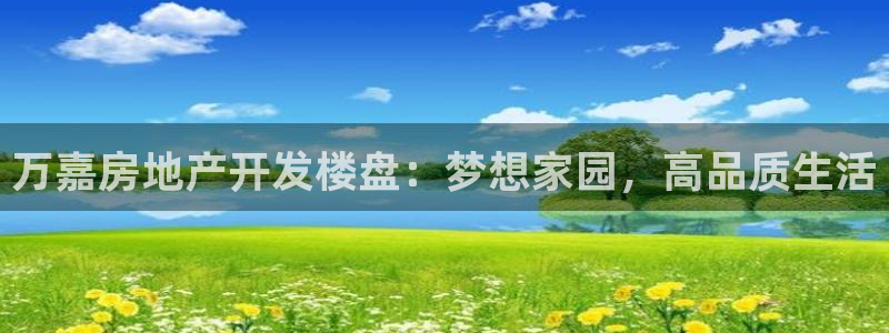 万向娱乐怎么样