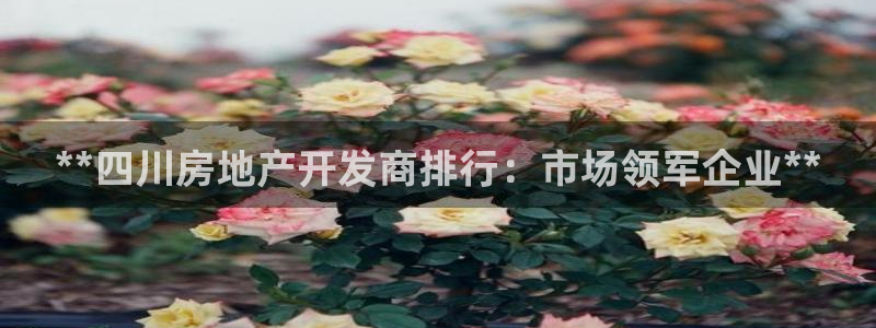 万向娱乐官网网址是什么