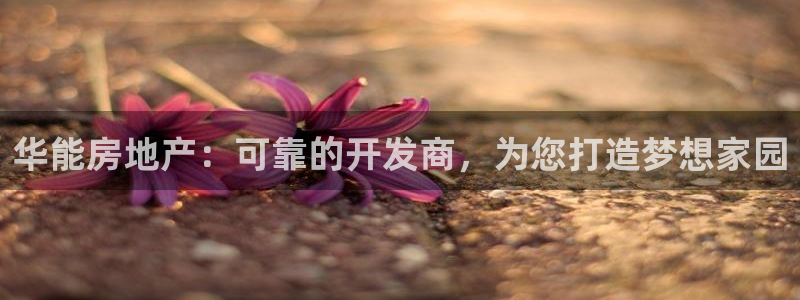 万向娱乐官网下载安装最新版