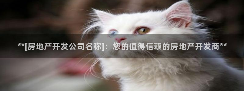 万向娱乐官网下载安装手机版