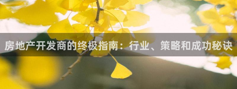 万向娱乐公司 585.34I 娱乐