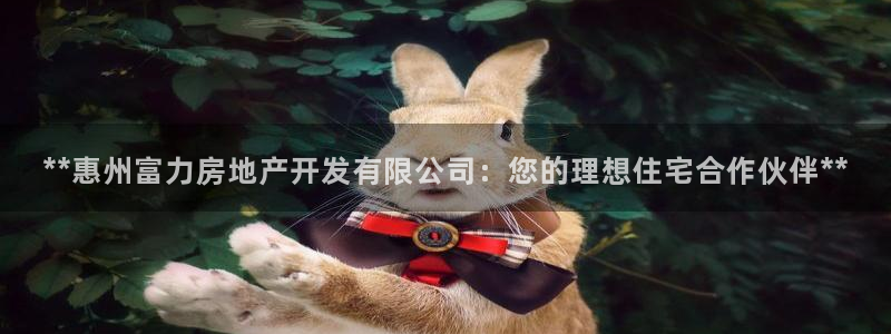 万向娱乐技术