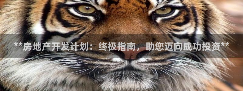 万象游戏代理