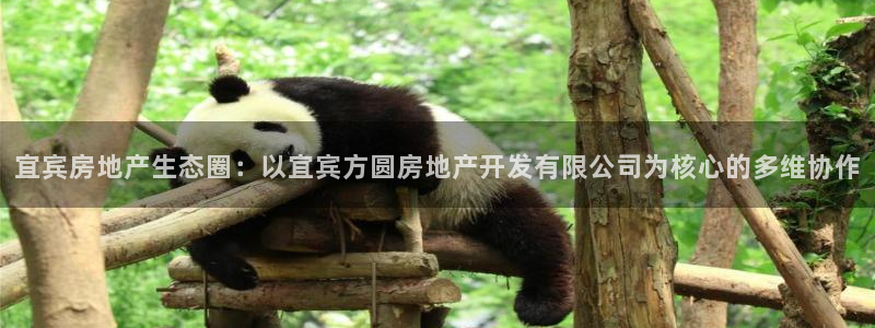 万向娱乐平台代理多少钱