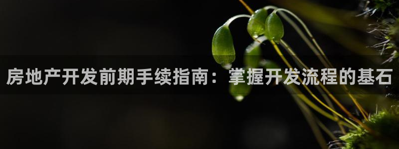 万向娱乐app下载