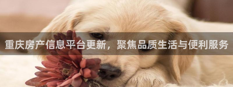 万向娱乐官网下载安装苹果