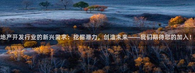 万向娱乐app