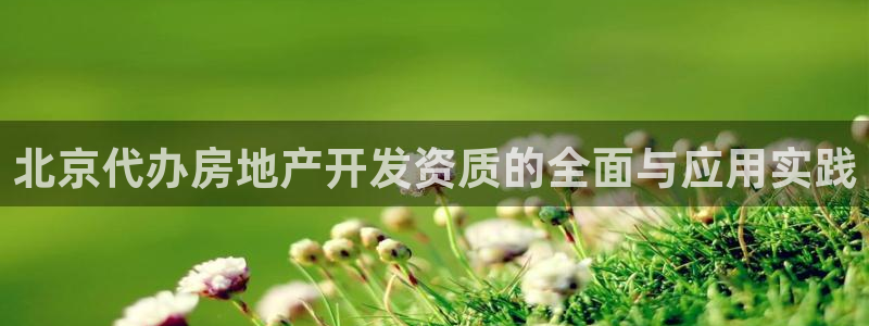 万向娱乐平台代理怎么做