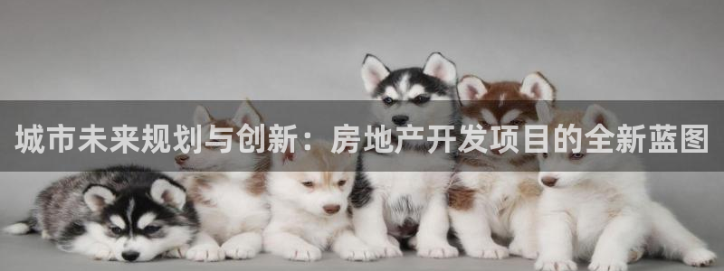 万向娱乐官网下载安装手机版