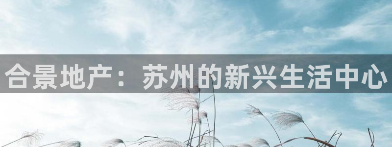 万向娱乐挂机