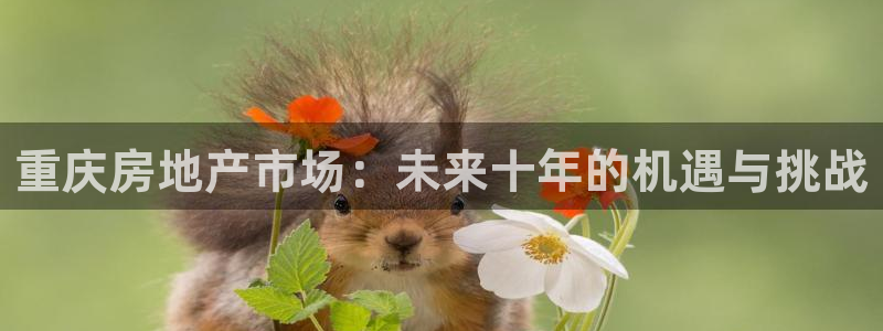 万向娱乐技术分享